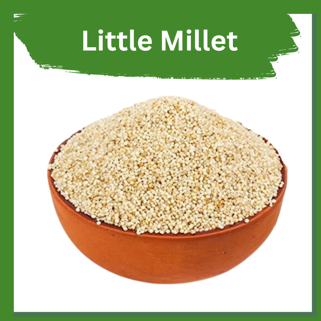 Little Millet – Nutritious, Easy to Digest & Diabetic Friendly