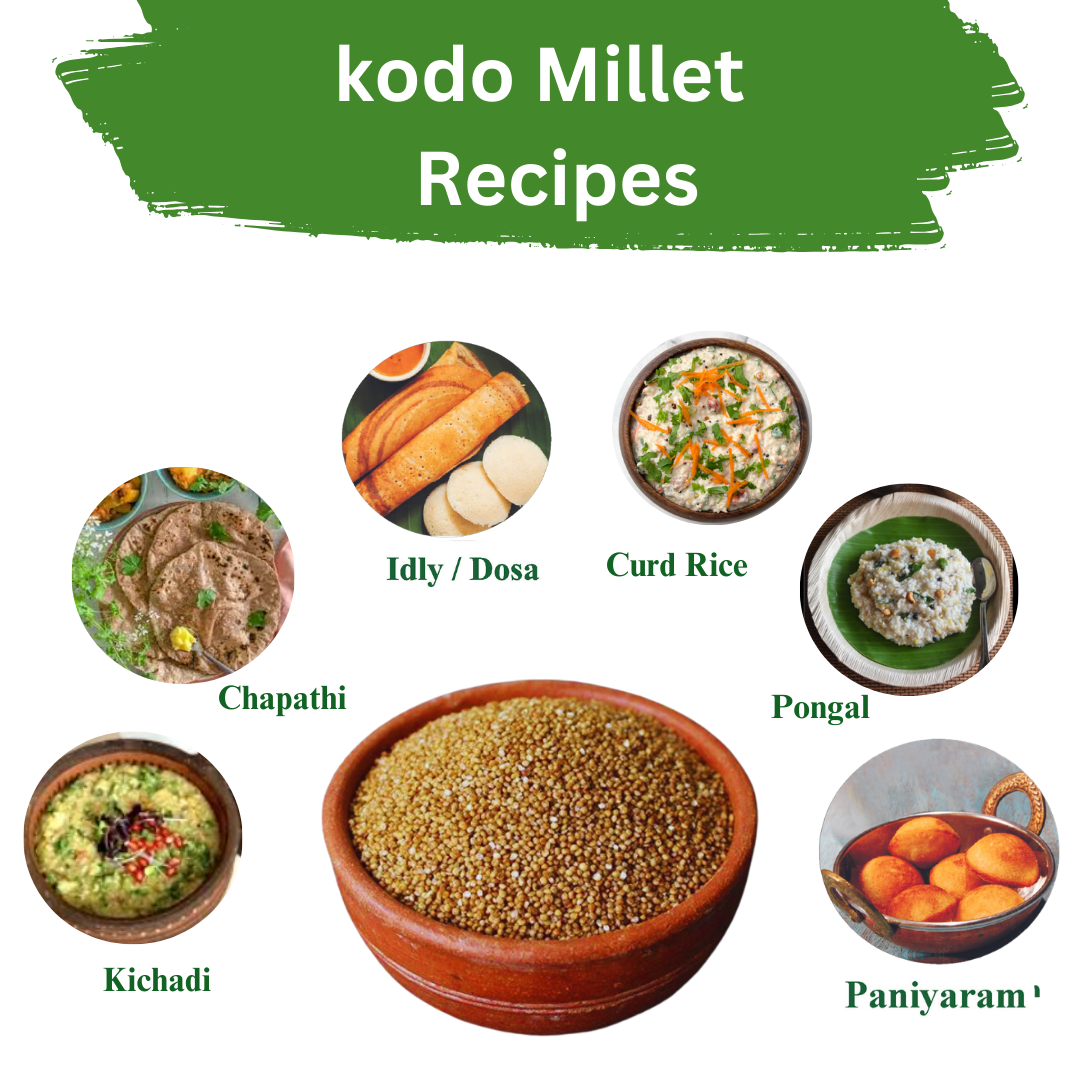 Pure Organic Kodo Millet – Energy, Digestion & Immunity Boosting Grain