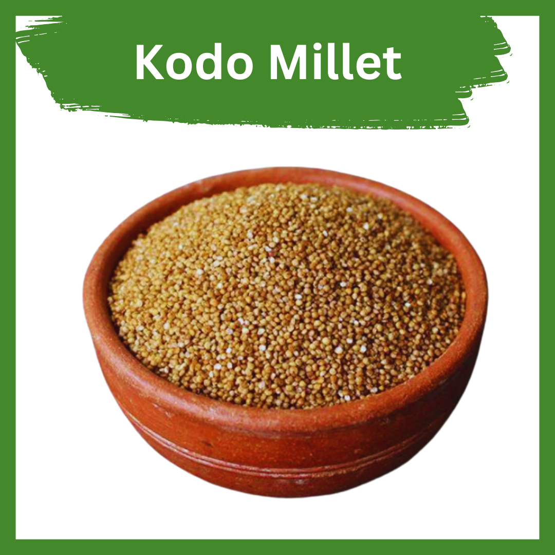 Pure Organic Kodo Millet – Energy, Digestion & Immunity Boosting Grain