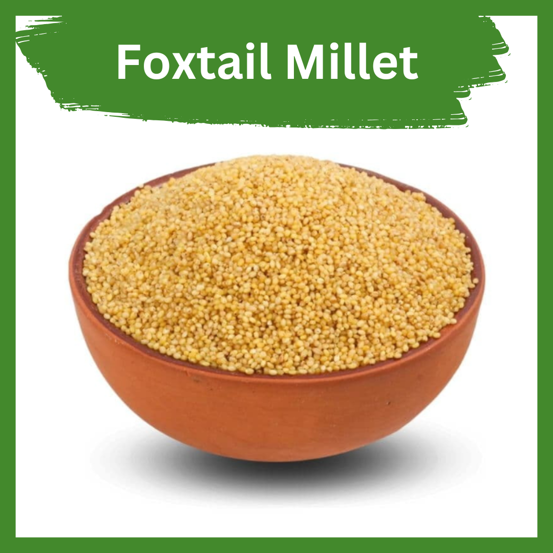 Foxtail Millet | High Fiber, Diabetic Friendly Millet