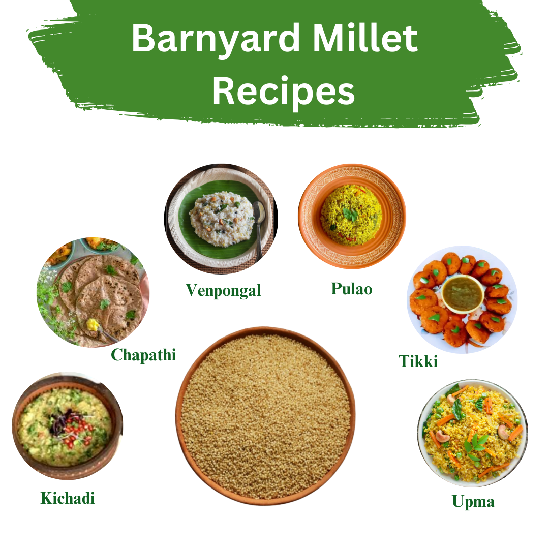 Barnyard Millet – Easy to Digest, High Fiber & Wholesome