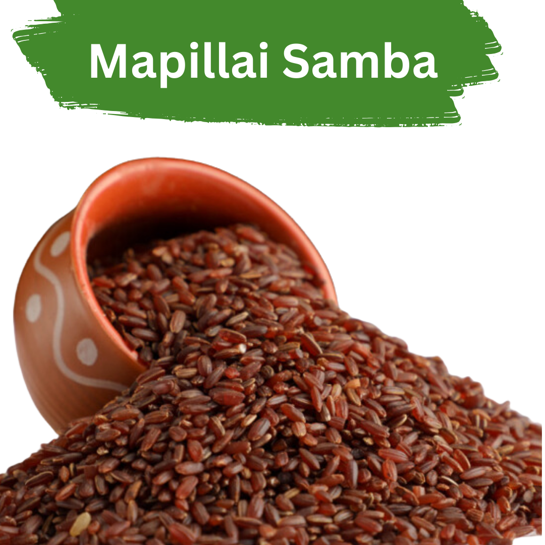 Organic Mapillai Samba Rice –Diabetes Friendly ,Traditional Super food for Daily Energy