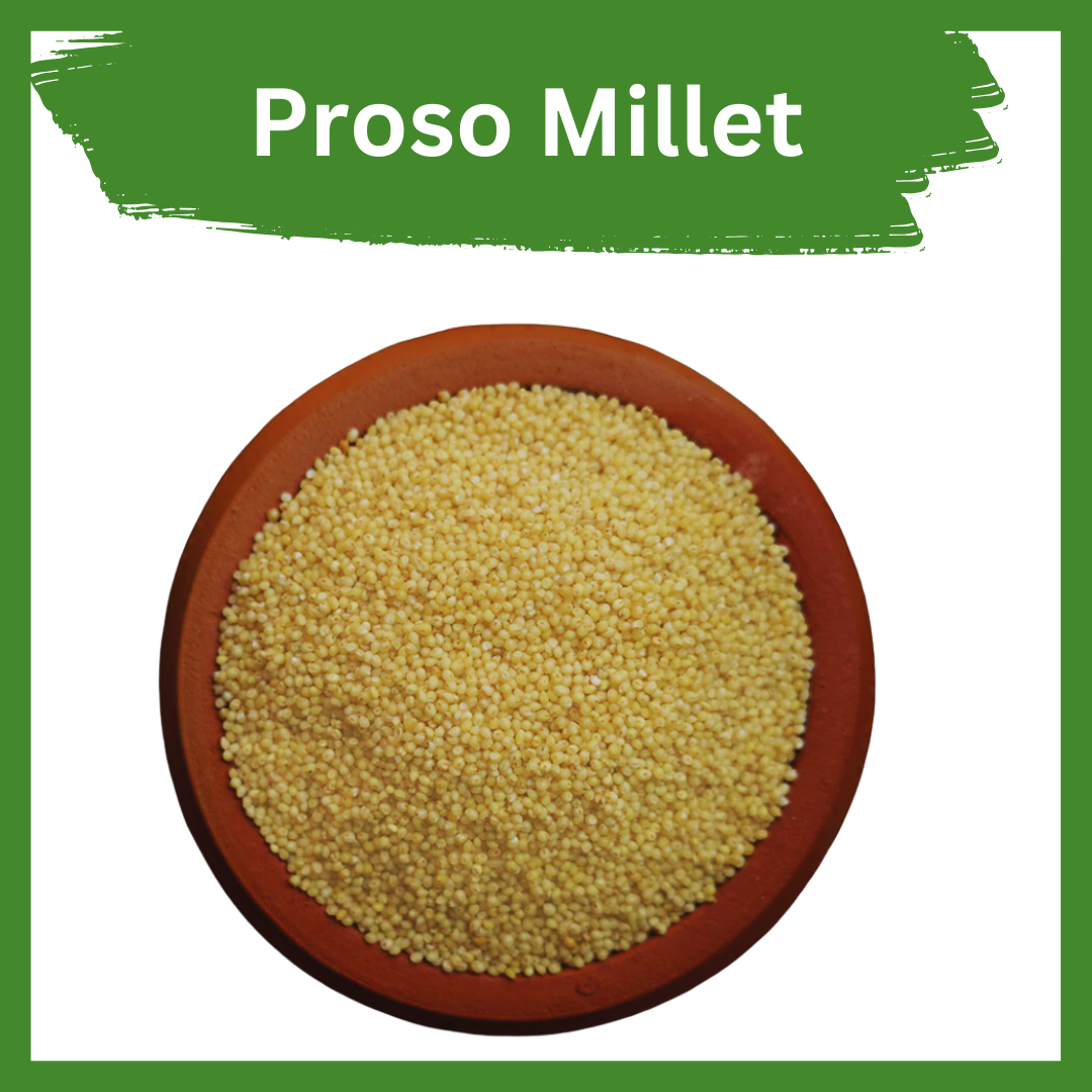 Proso Millet | High Protein, Diabetic Friendly Millet